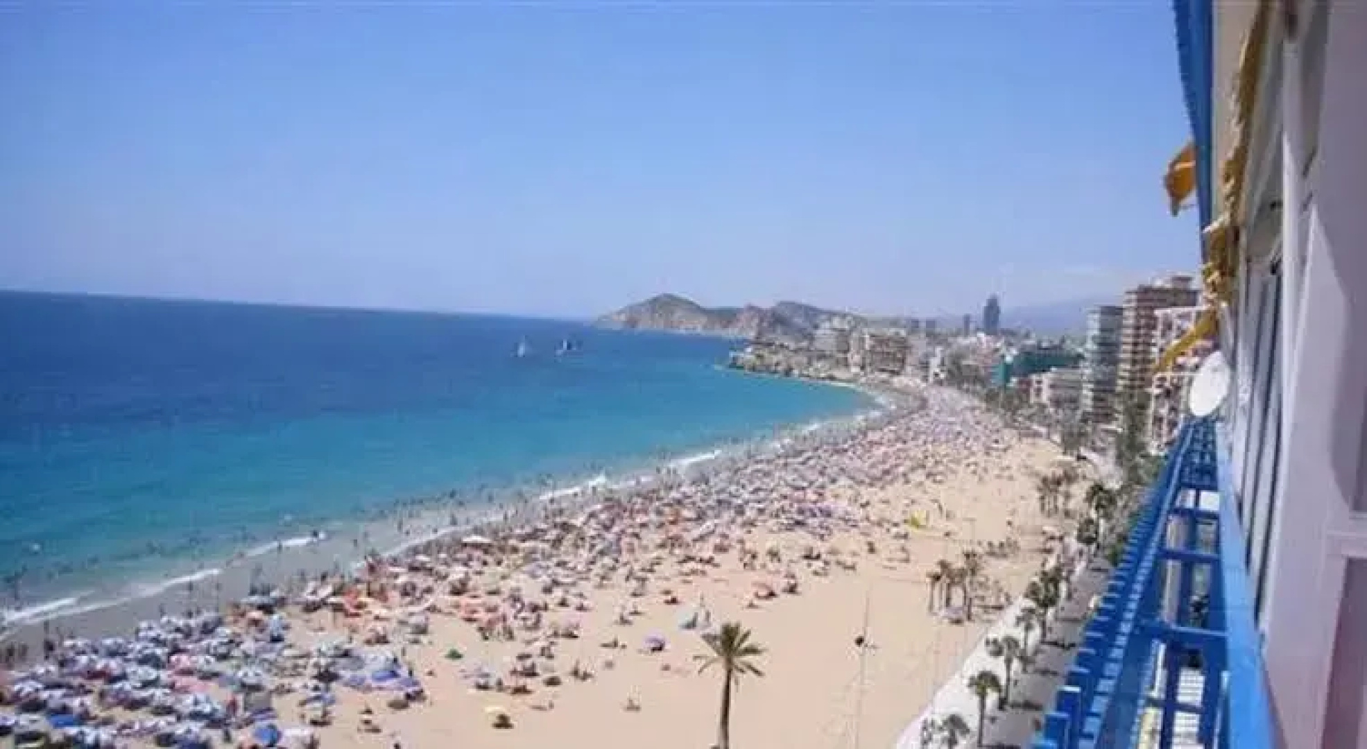 Las Palmeras
