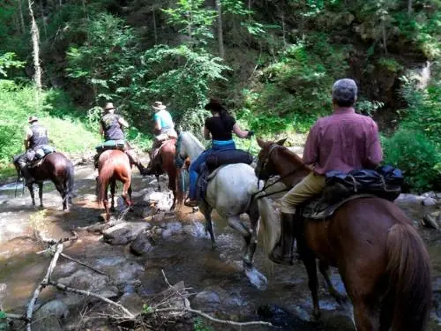Bauernhof Siebernegg
