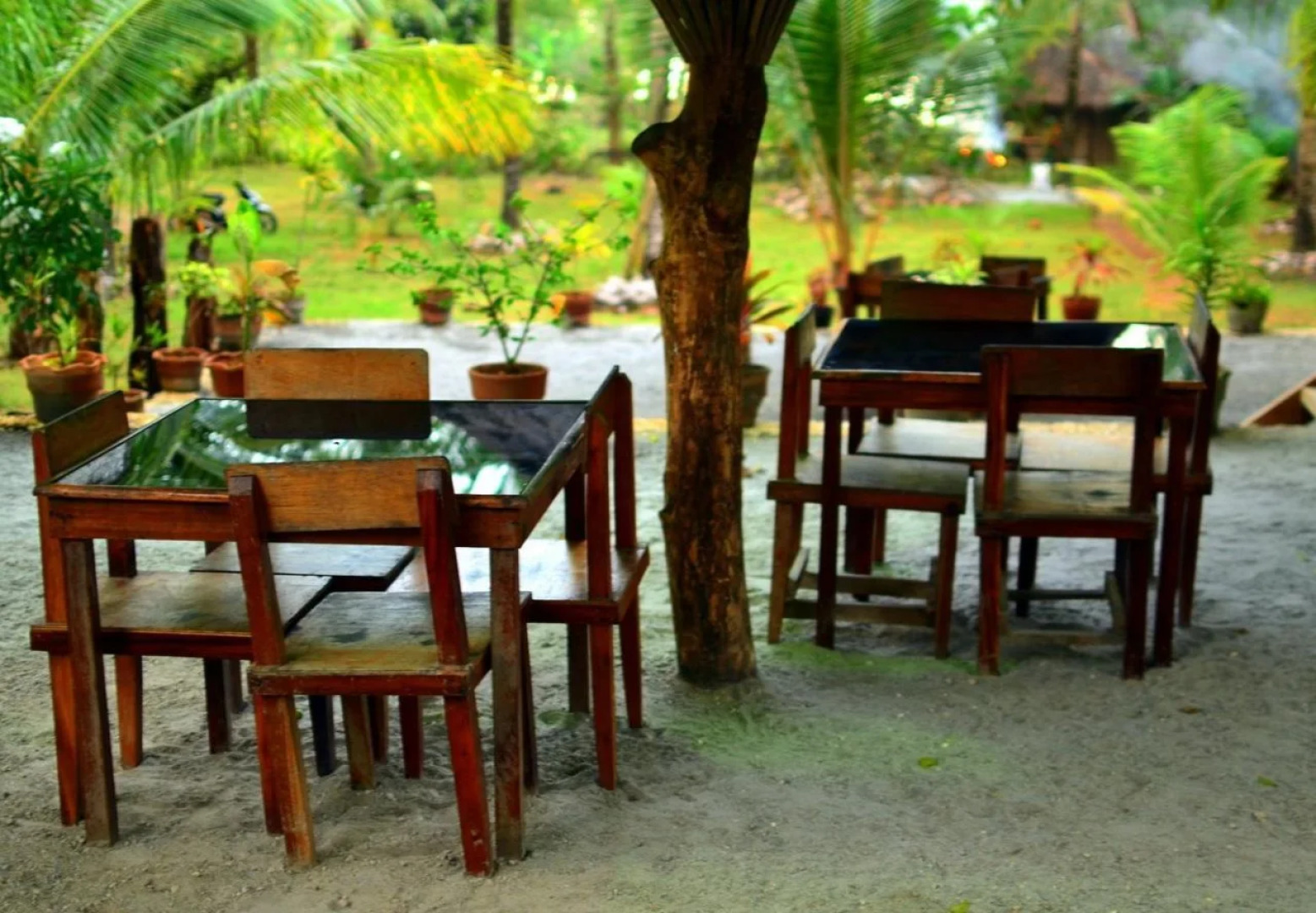 Toris Backpackers Paradise