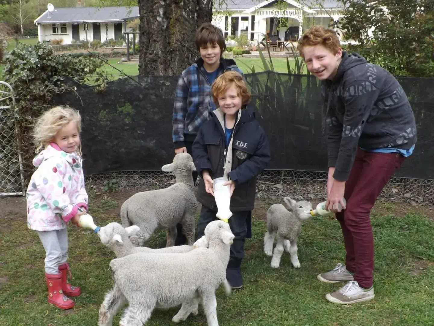 Karetu Downs Farmstay