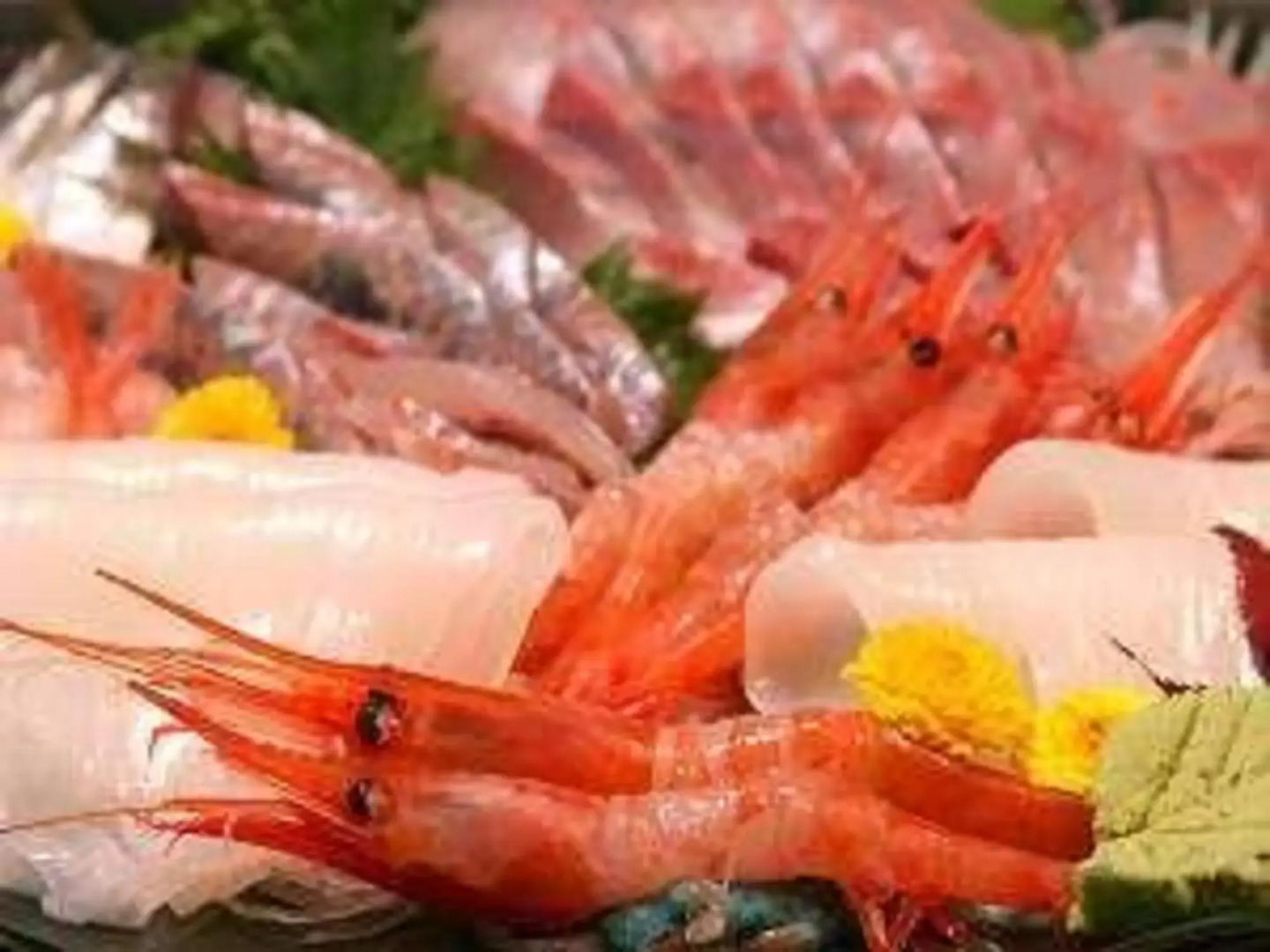 Echizentamagawa Onsen Hidetake