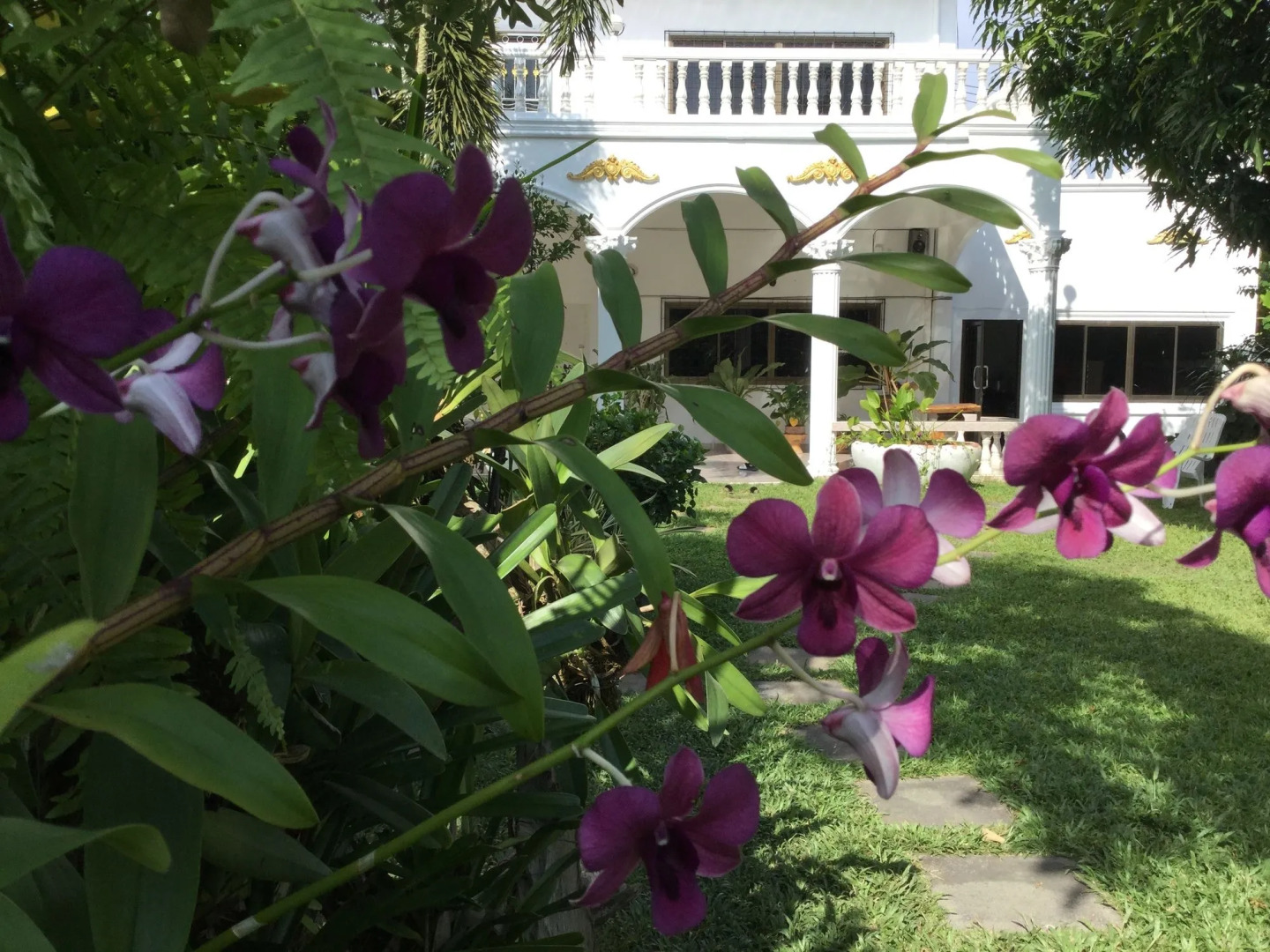 White Elephant Resort