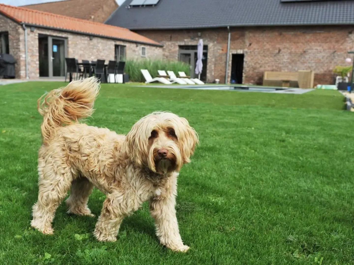 Vlaanderen Cozy Cottage