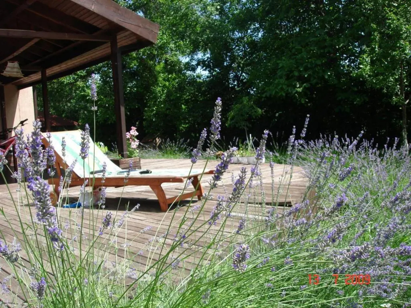 Pensiunea Bamboo - Villa