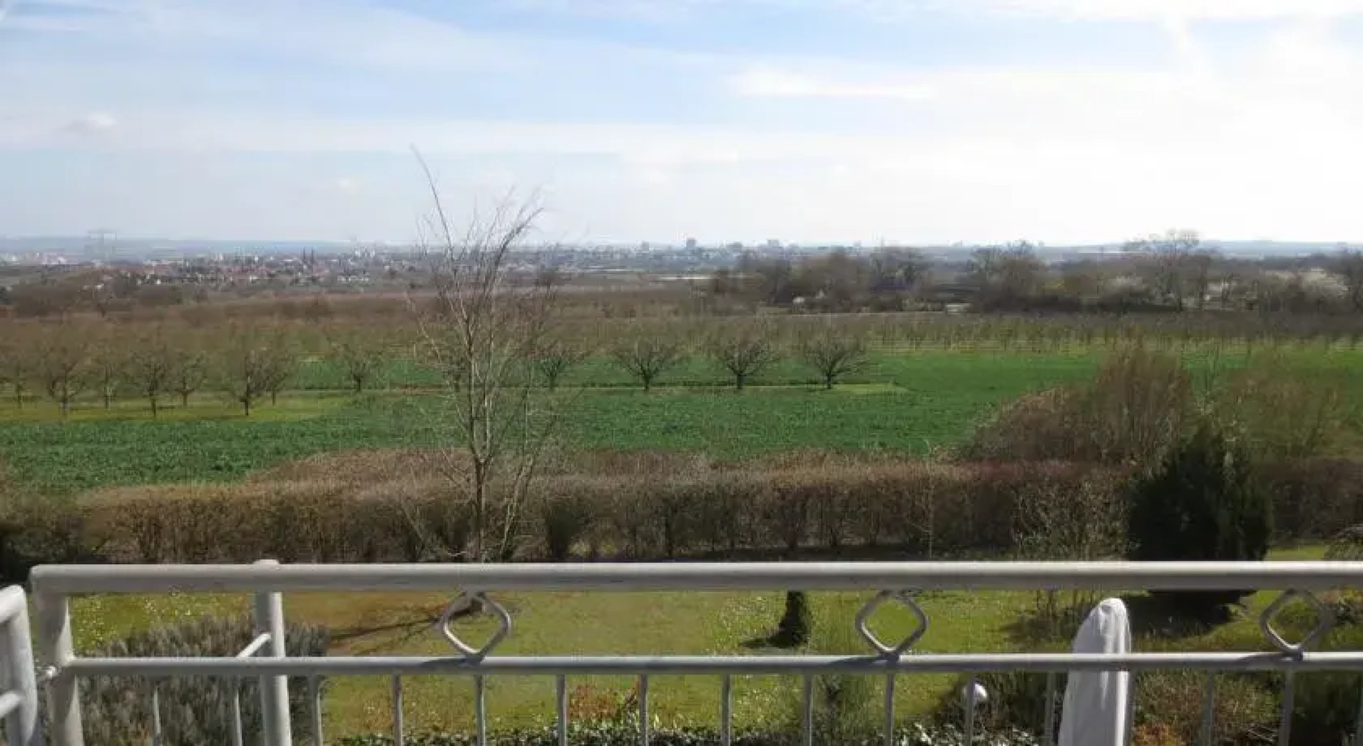 Weitblick über Mainz