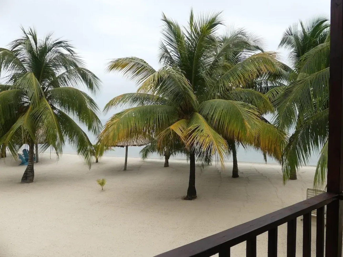 Green Parrot Beach Houses and Resort