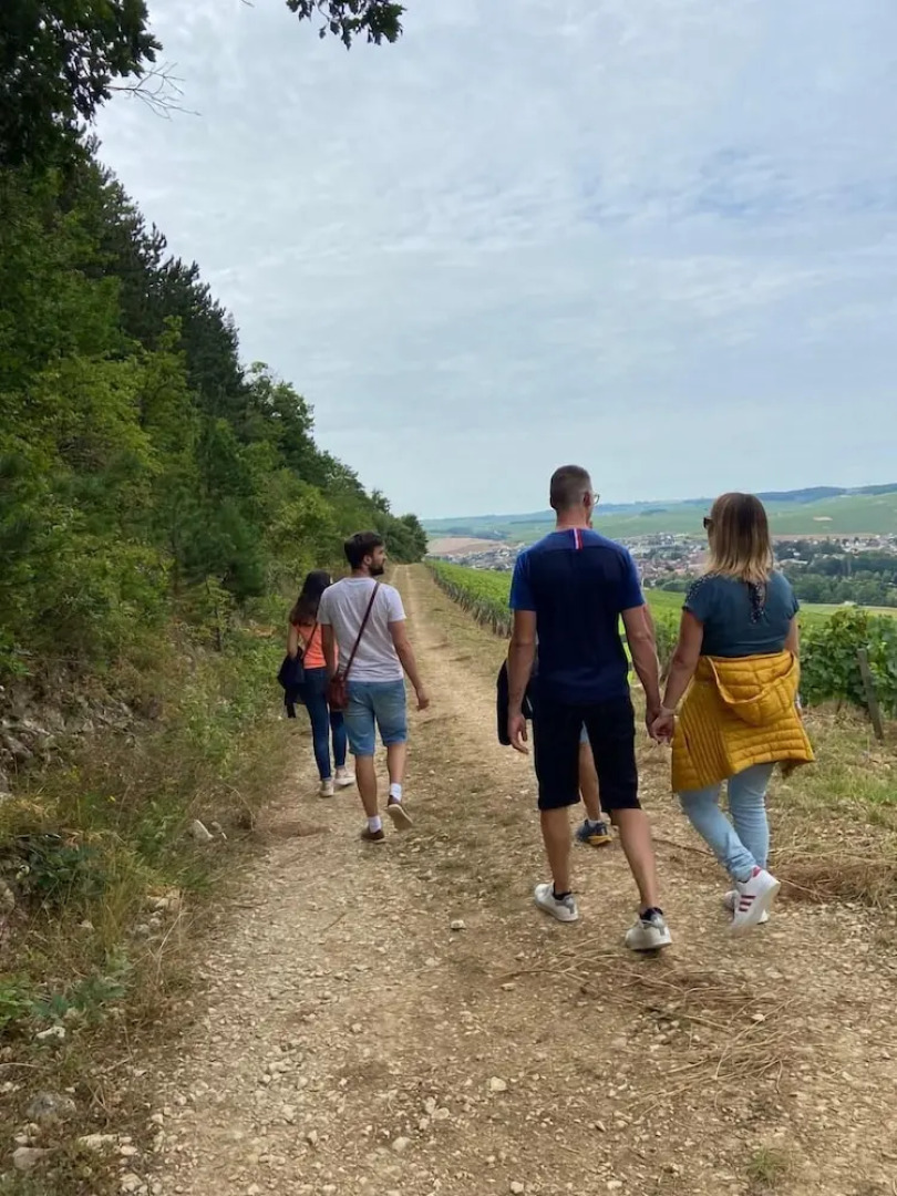 Les Appartements du Domaine Gueguen
