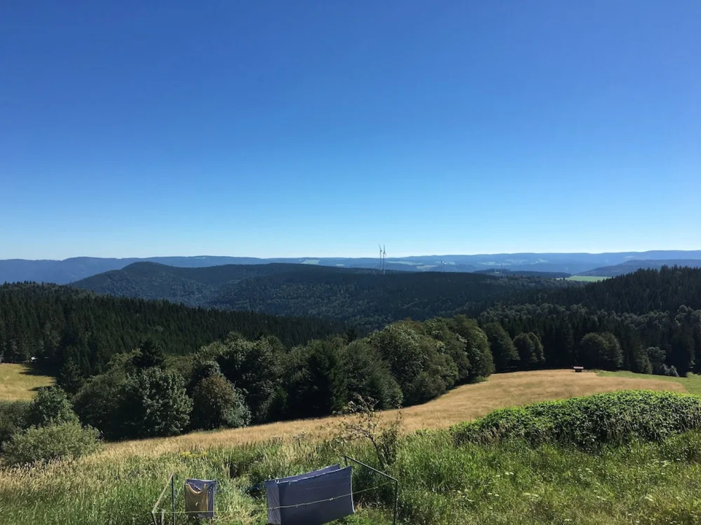 Berggasthaus Kandelhof