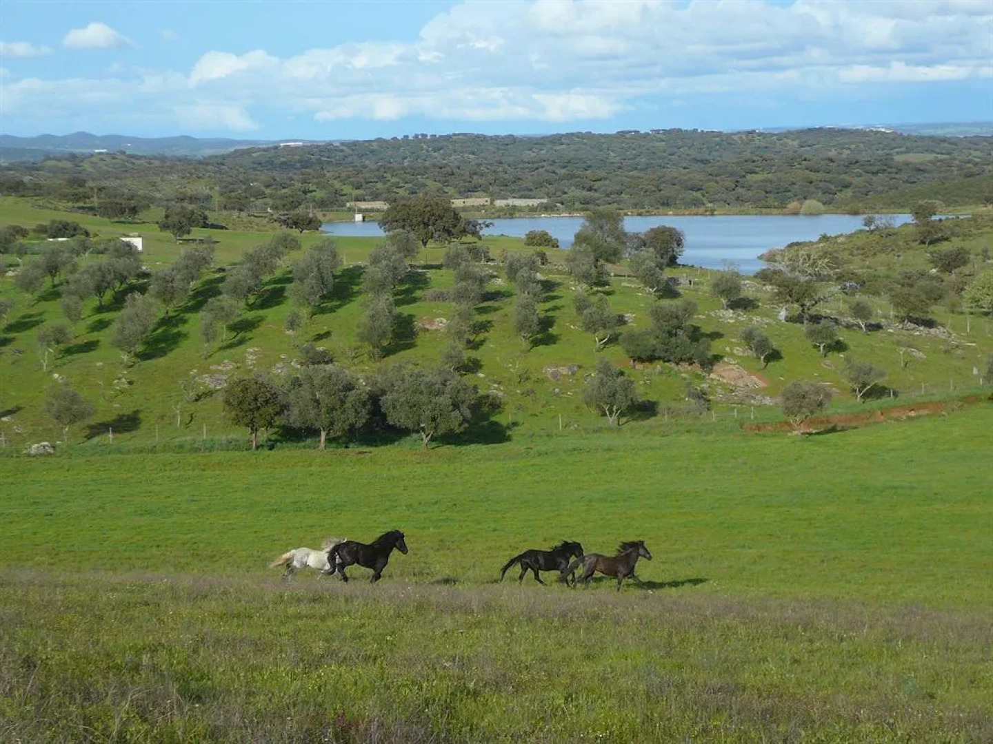 Herdade Naveterra Rural Lodge & Spa