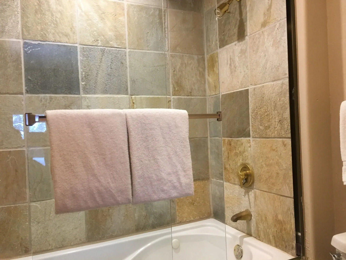 Mountain Lodge Telluride