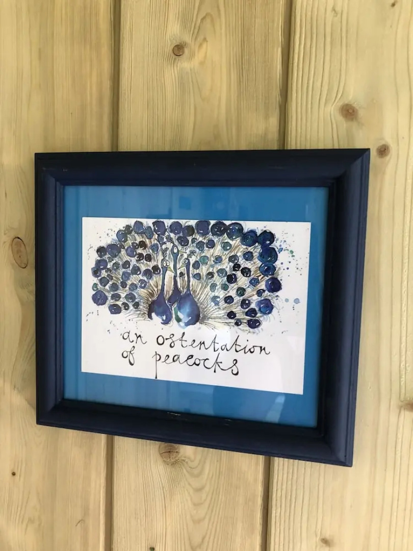 The Peacock Shepherds Hut at Hafoty Boeth