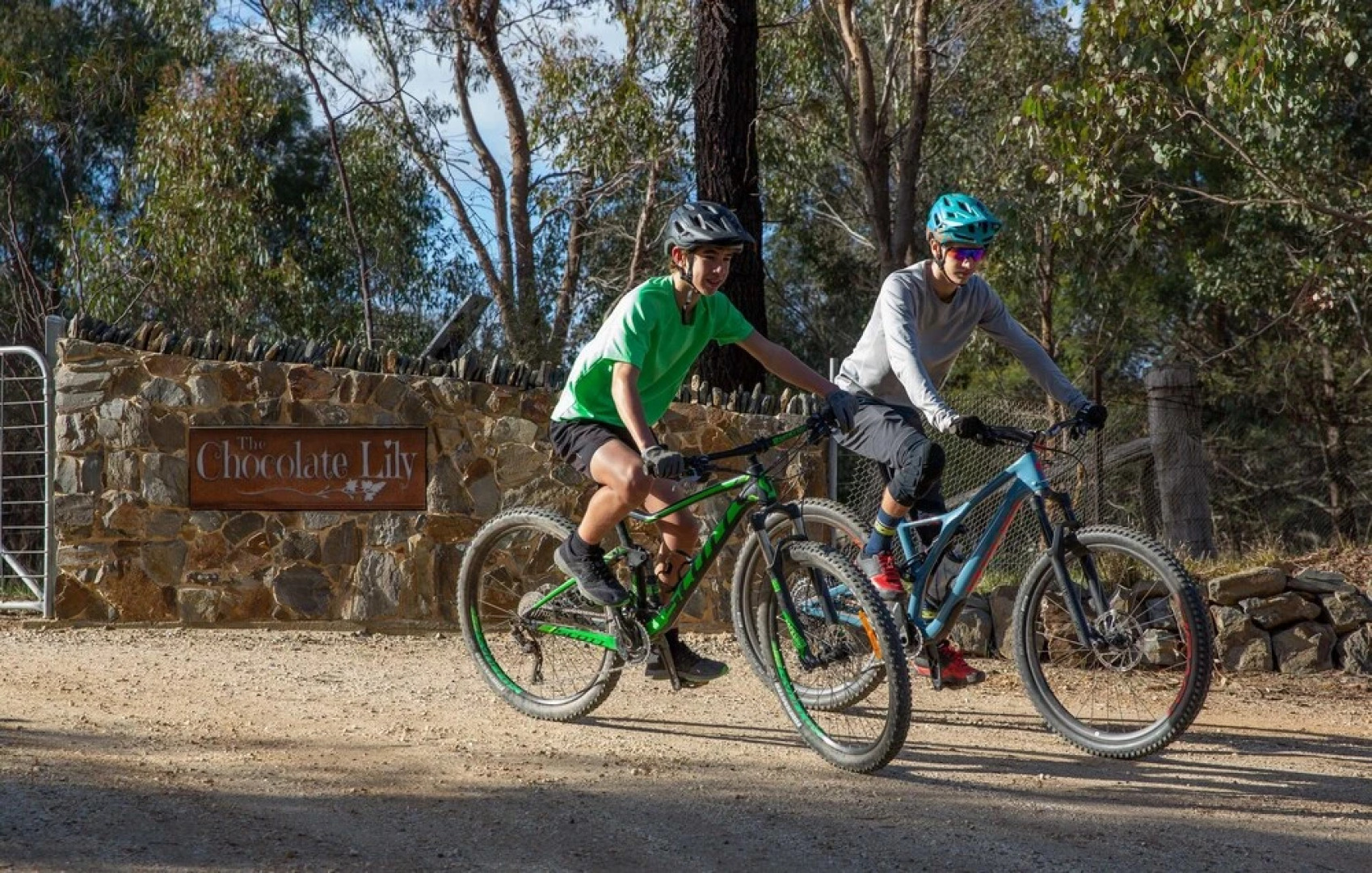 The Chocolate Lily B&B