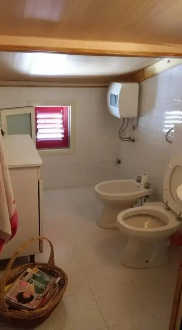 Oasi Lega Internazionale Vigilanza Sez. Palermo