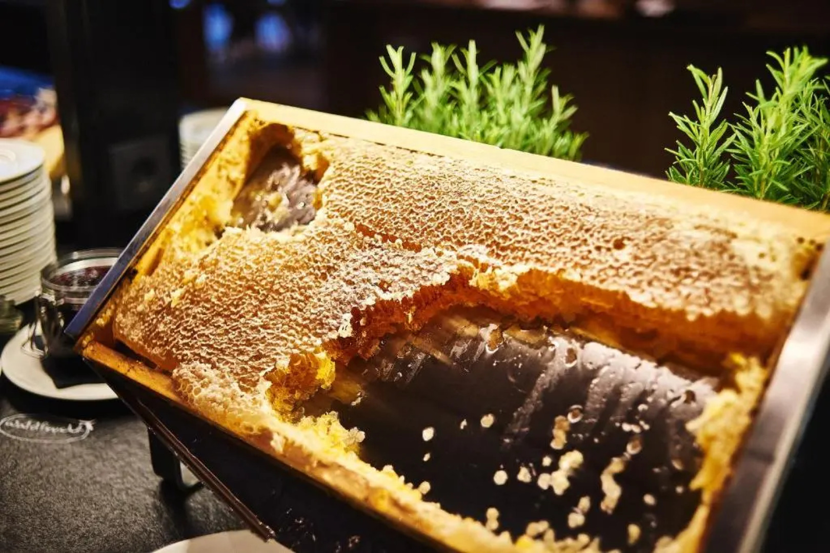 Hotel Zugbruecke Grenzau