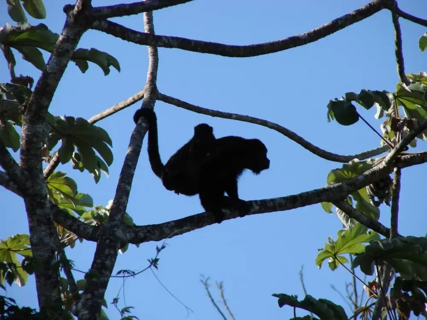 Posada Cerro Escondido