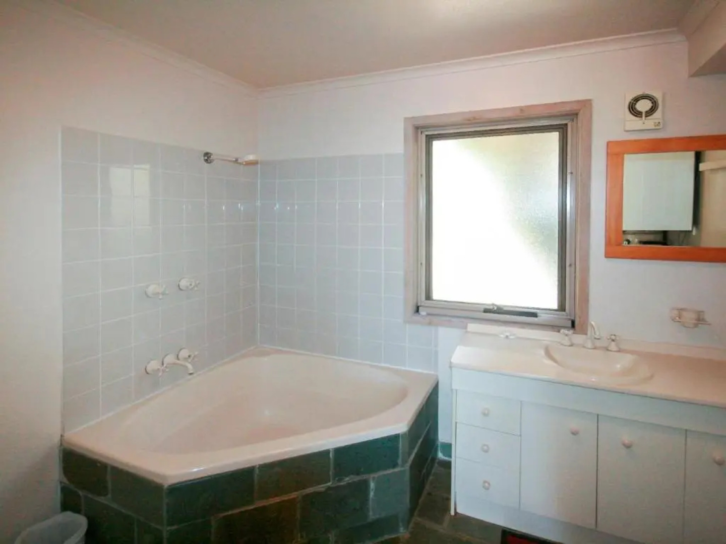 Snowgums on the Lake