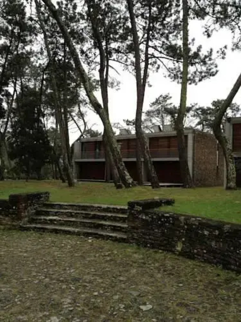Ofir House