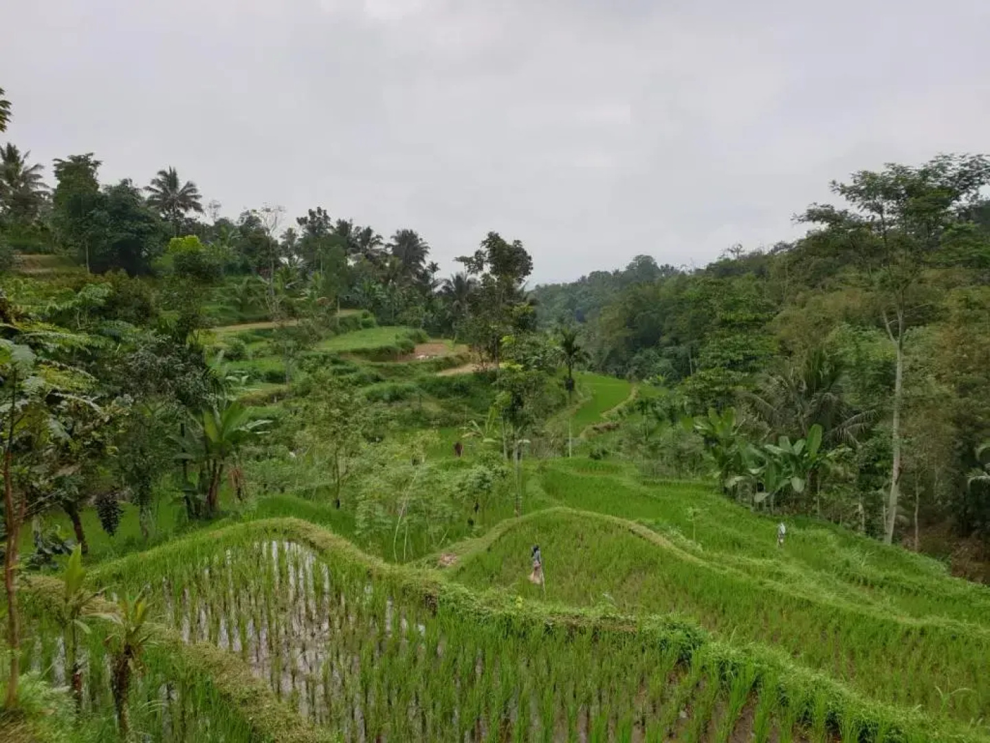 Tetebatu Garden Resort