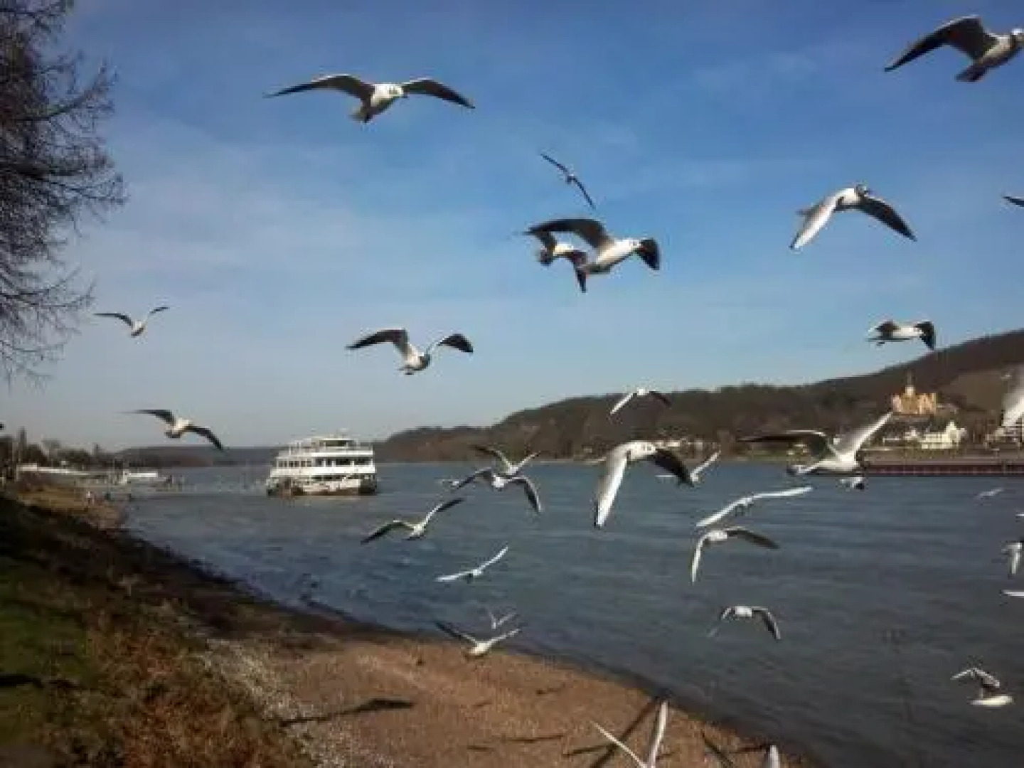 Hotel Rheinischer Hof