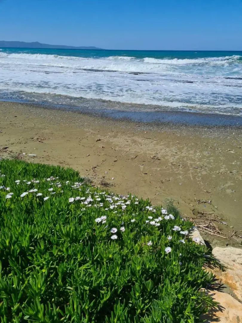 Imagine Renting Your Own 5 Star Private Cyprus Villa on the Beach, Paphos Villa 1410