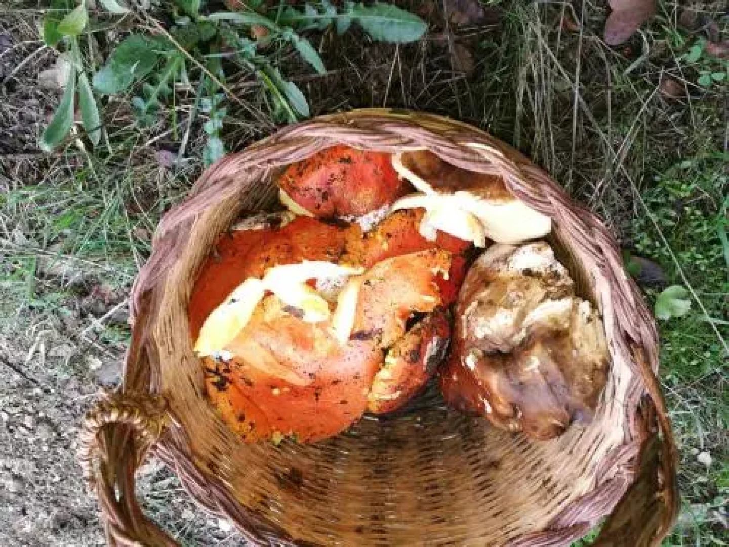 Country House Vignola Mare