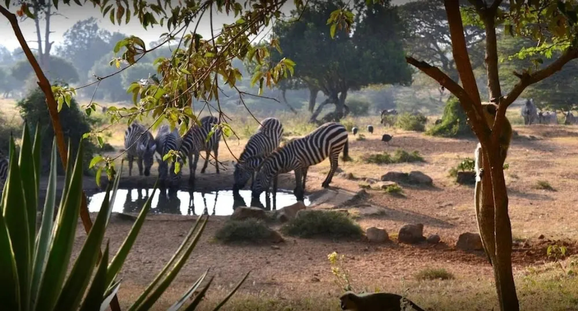 Maralal Safari Lodge