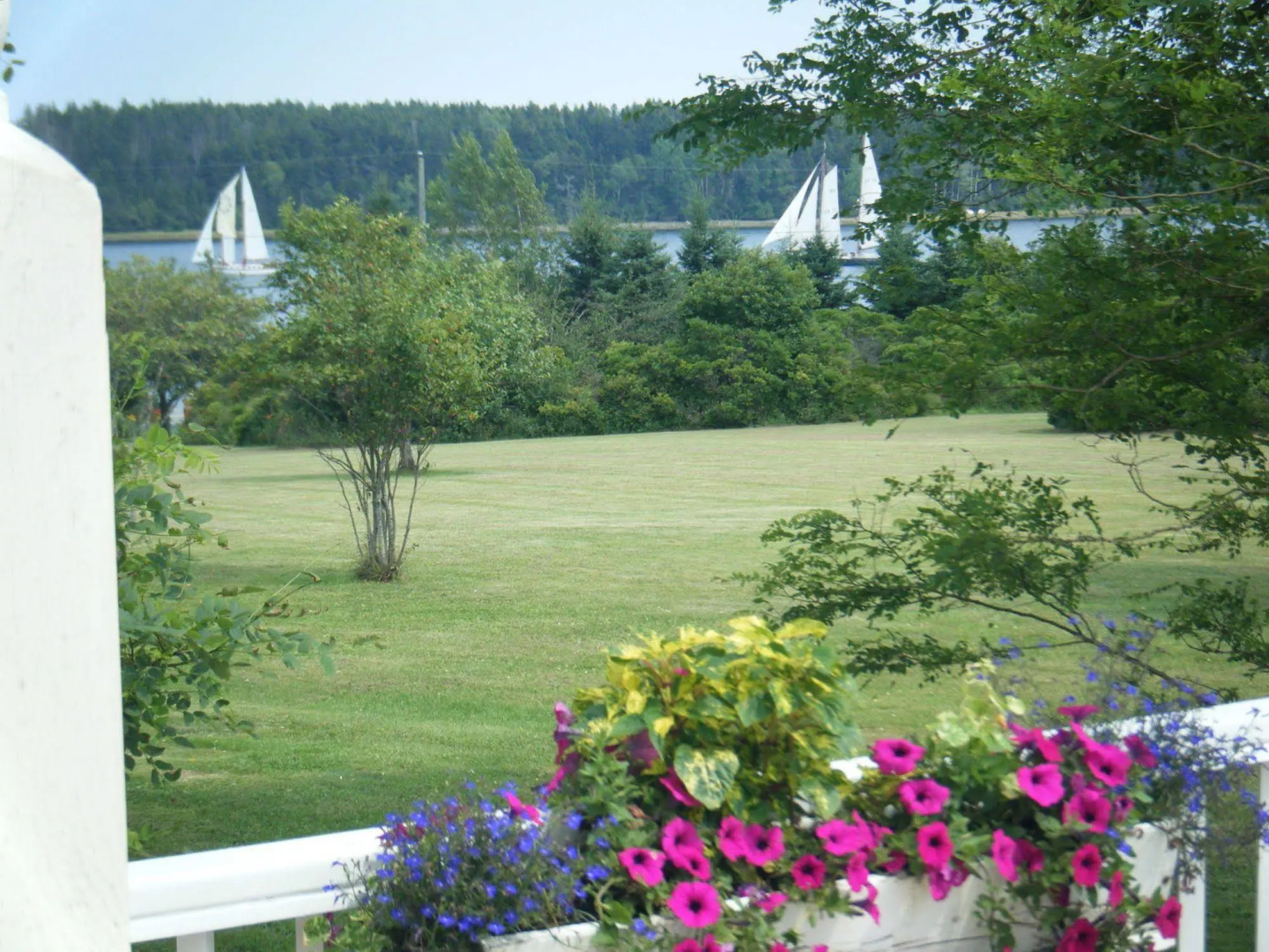 Bayview Pines Country Inn