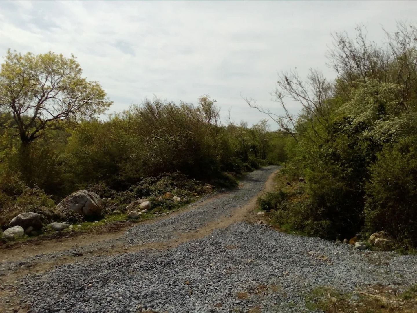 Burren Bushcraft - Camping & Adventures