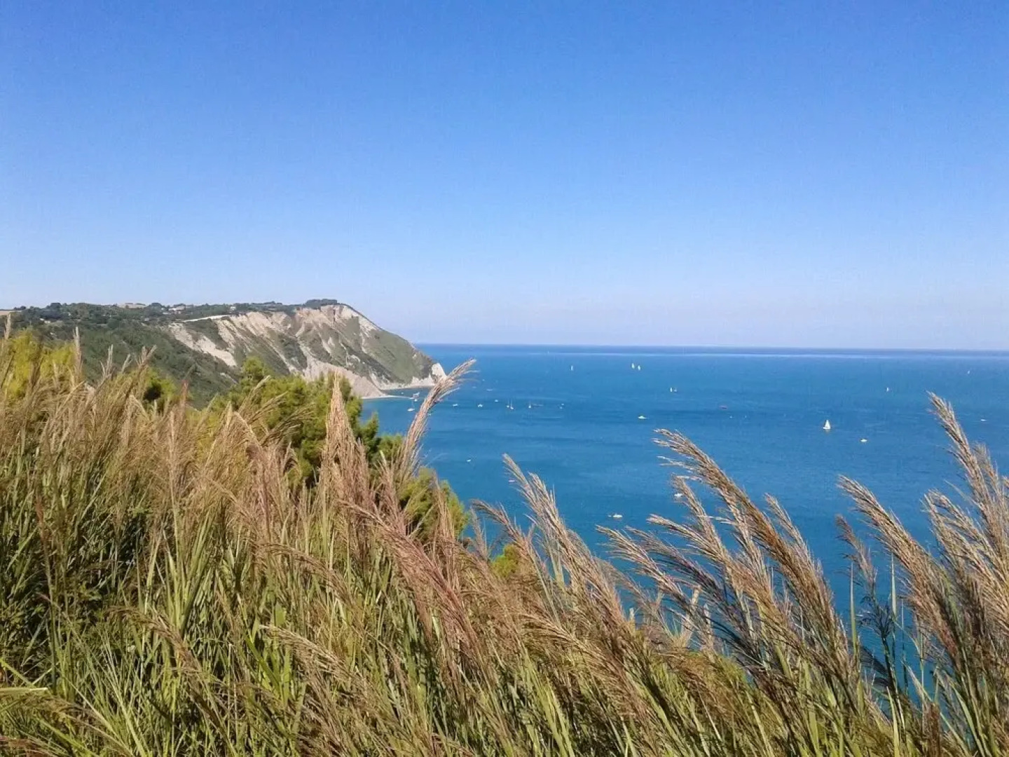 Villa With 7 Bedrooms in Pesaro, With Private Pool, Enclosed Garden an