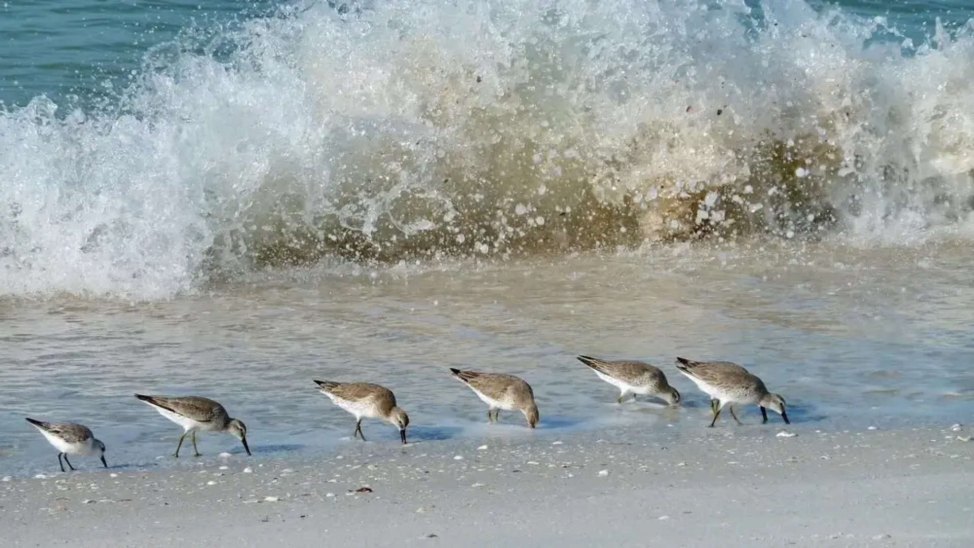 Harbourside 3313 - Family Fun, Free Waterpark Passes!