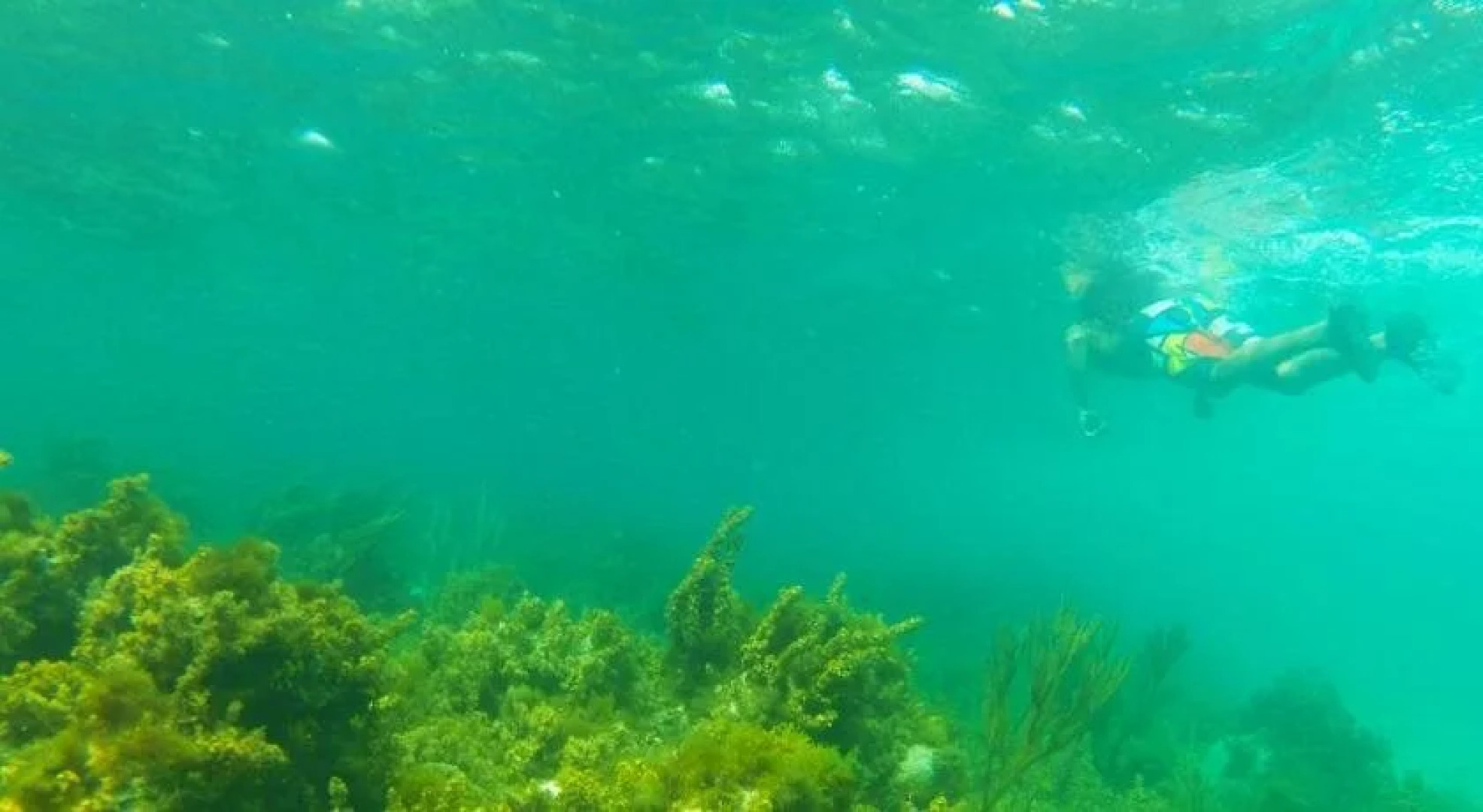 Native Lodge Brisas del Sur