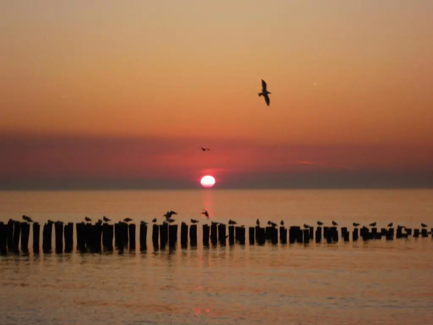 Luxe Chalet Oostkapelle OK28