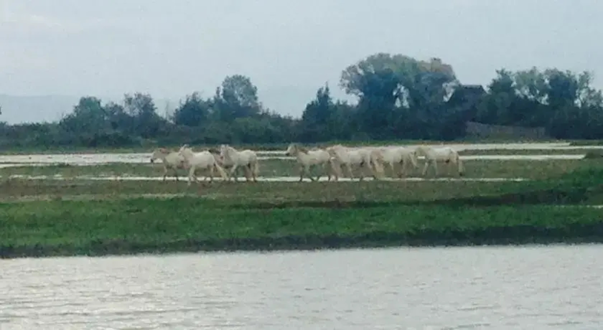 Riserva Naturale Foce dellIsonzo