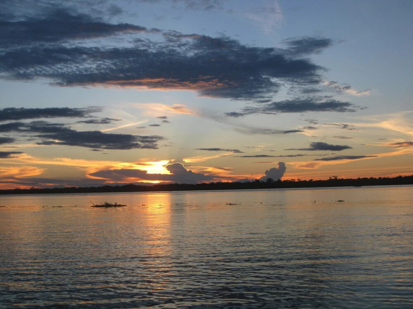 Friends of The Amazon Jungle Lodge