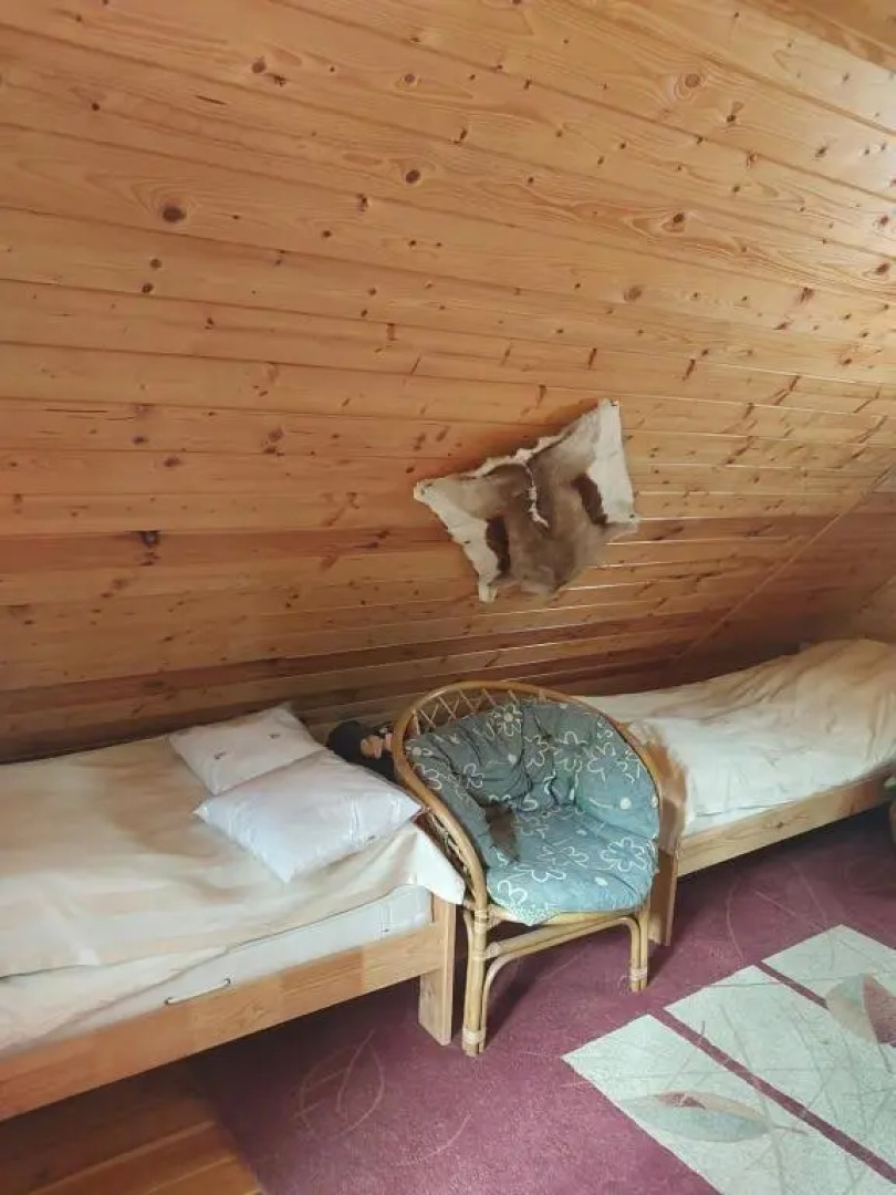 Domki w lesie u Grażynki