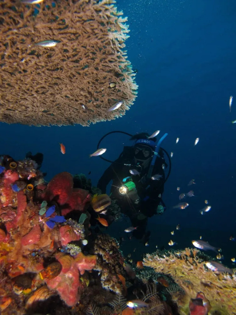 ABWonderdive Beach Resort