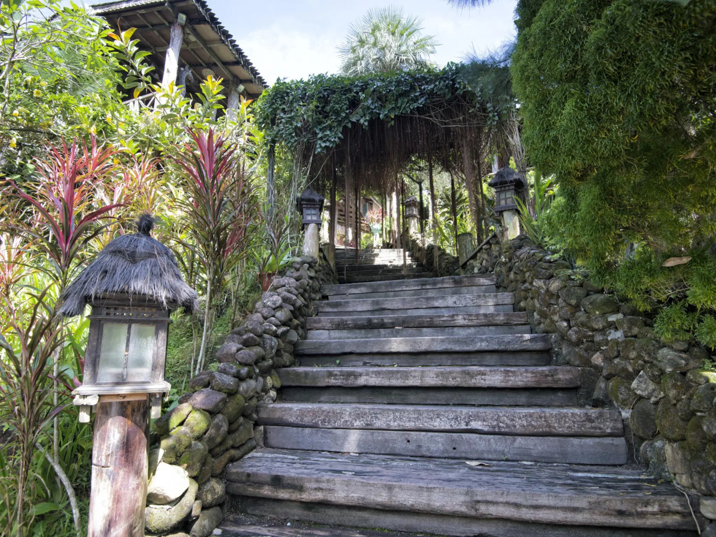 Fig Tree Hill Resort