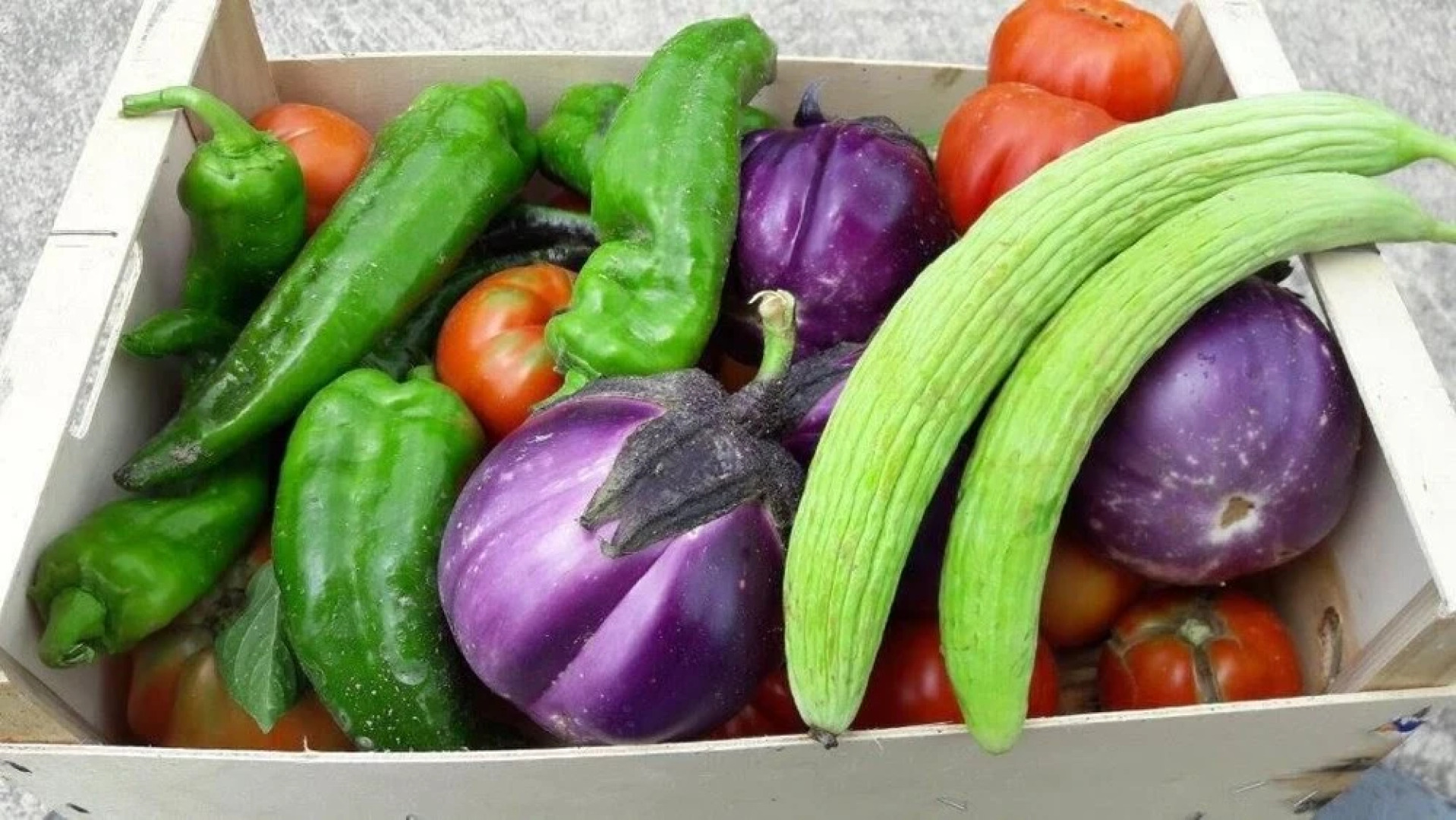 Azienda Agrituristica Colle San Giorgio