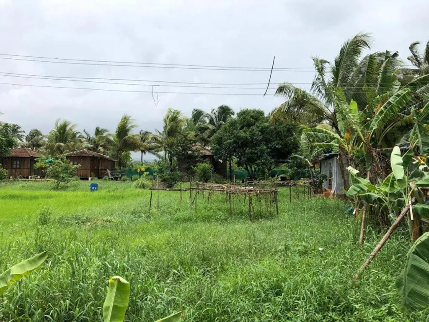 Saligao farm cottage