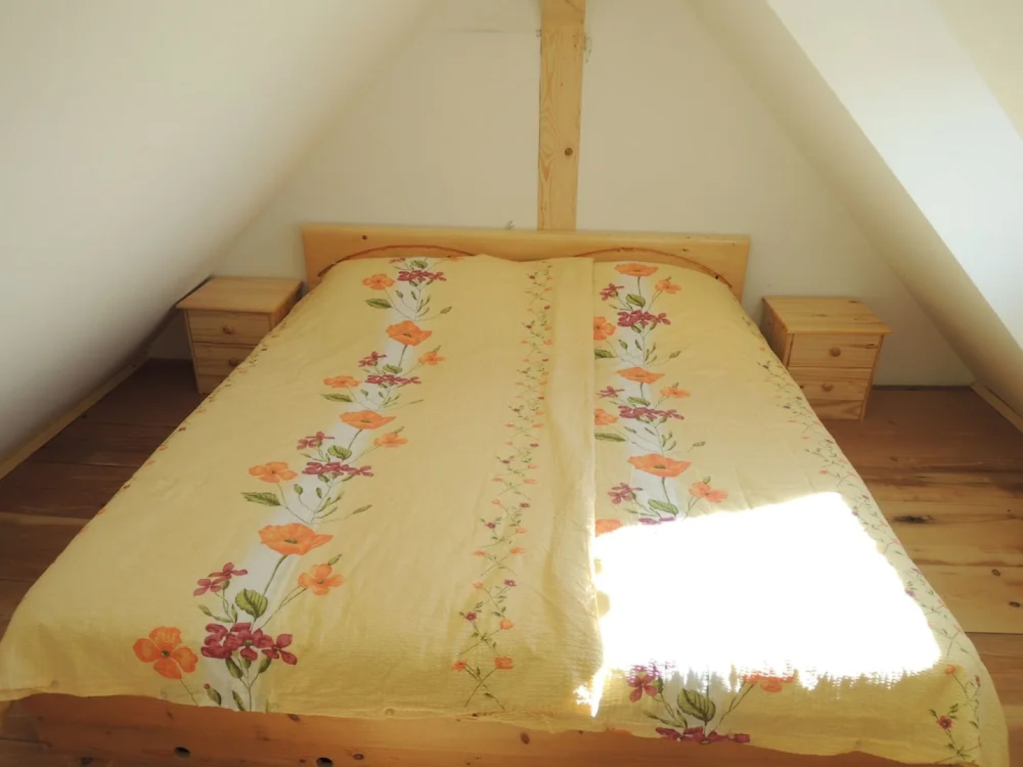 Vineyard cottage Janko in Metka