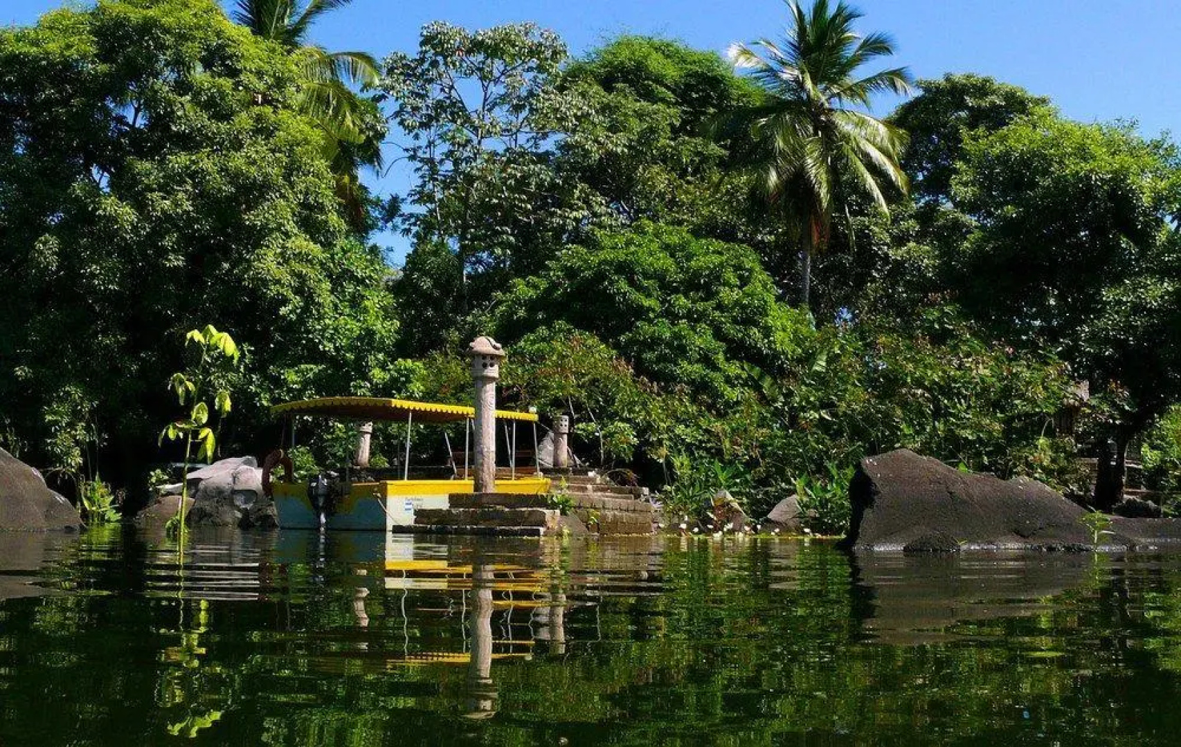 Zopango Orchids Island