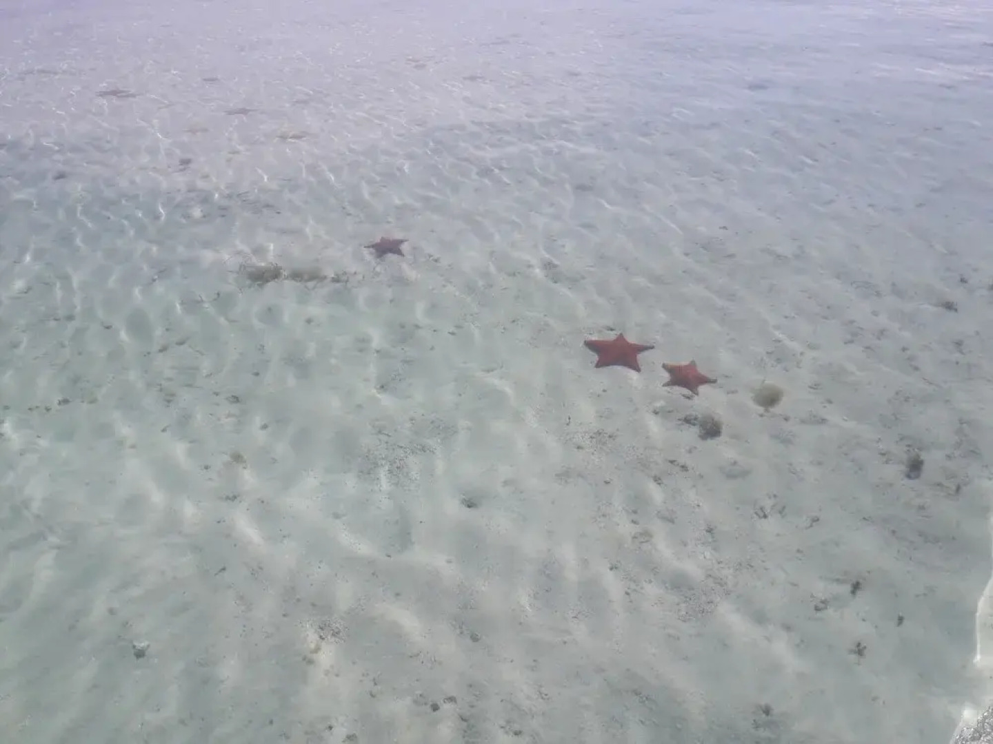 Cabanas Narasgandub - Naranjo Chico