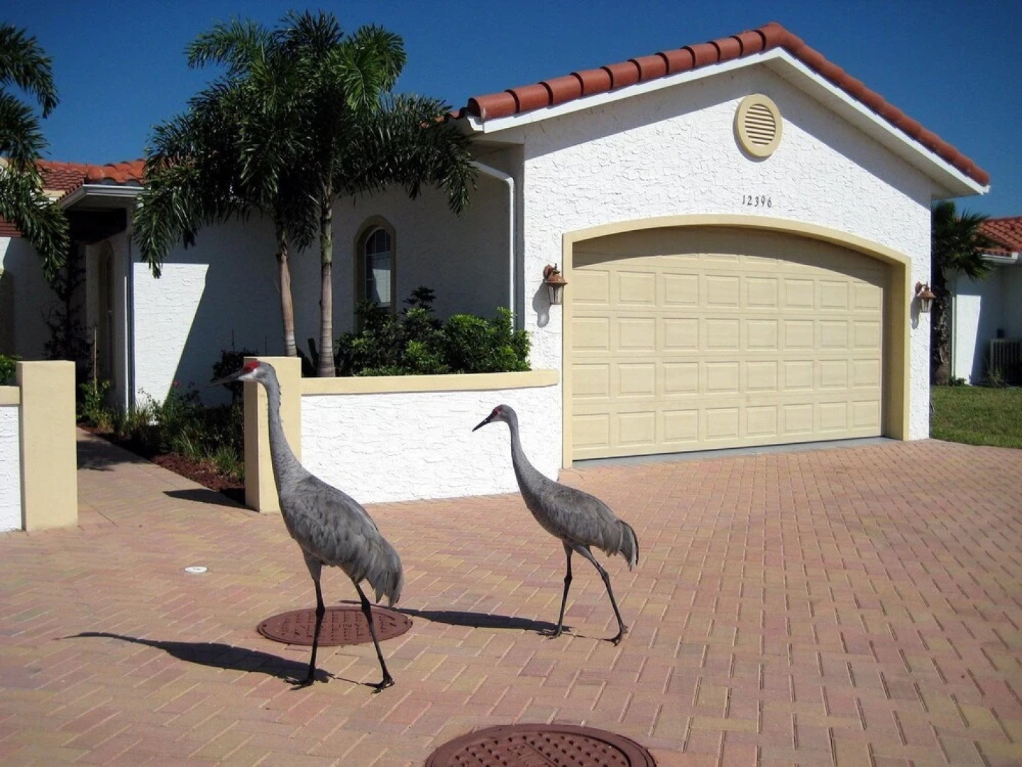 Happy Days at Alhambra