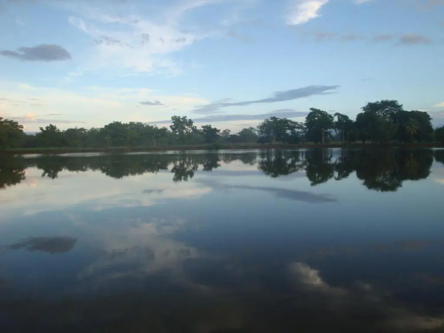 Isla Violin Eco Lodge