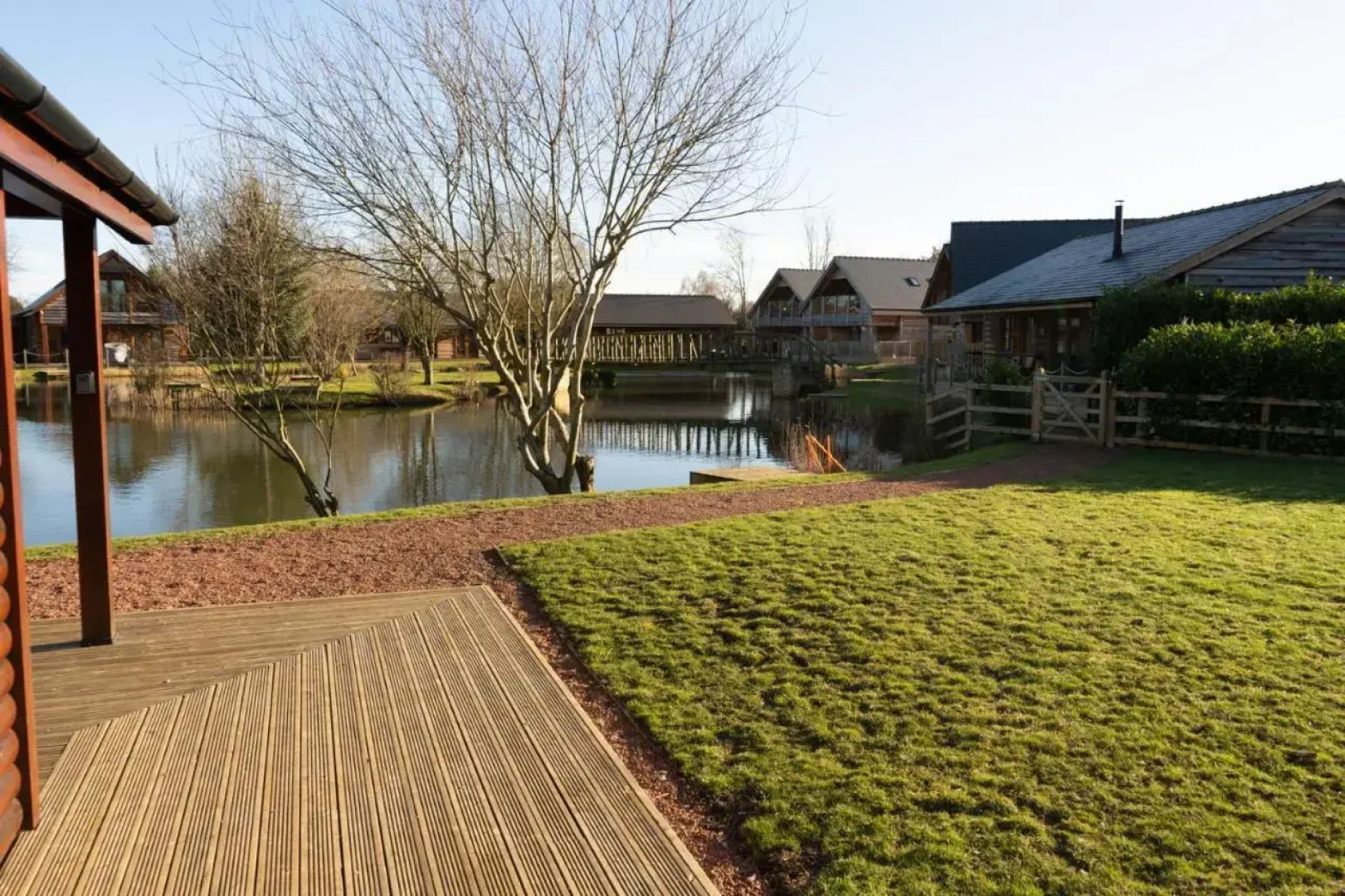 The Green Monkey (Adults Only)