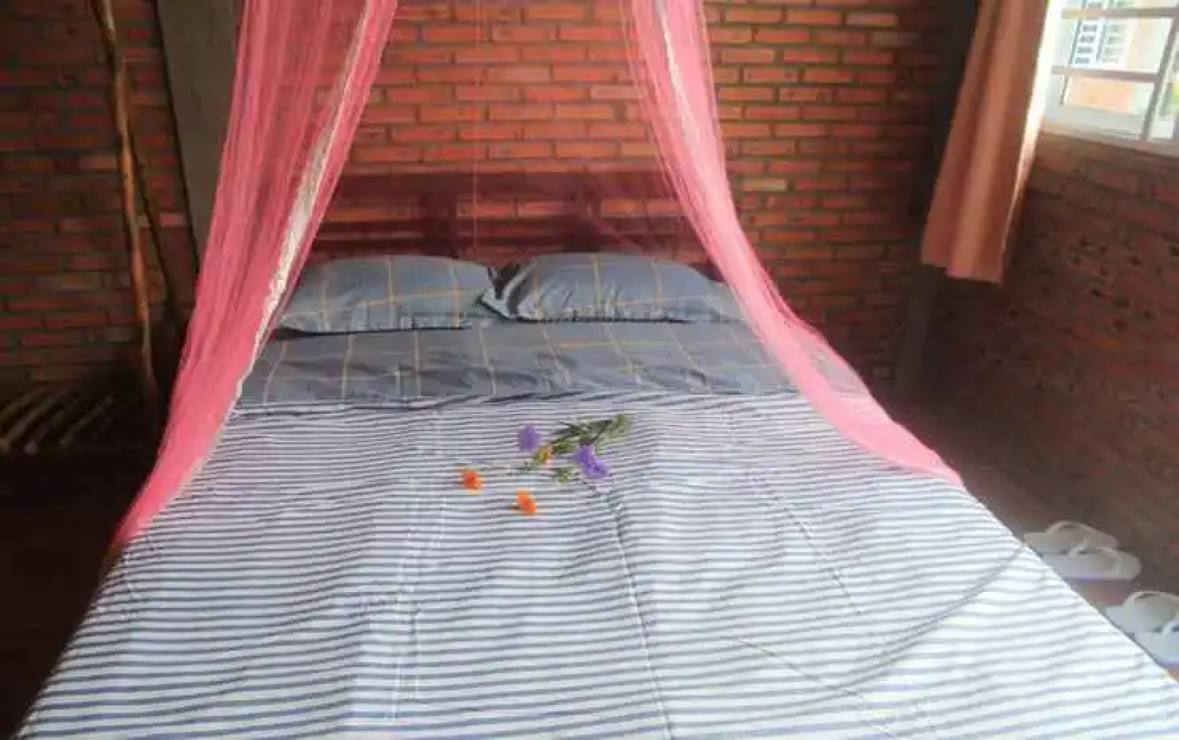 Bau Bi Mini Farmstay Mekong - Tien Giang
