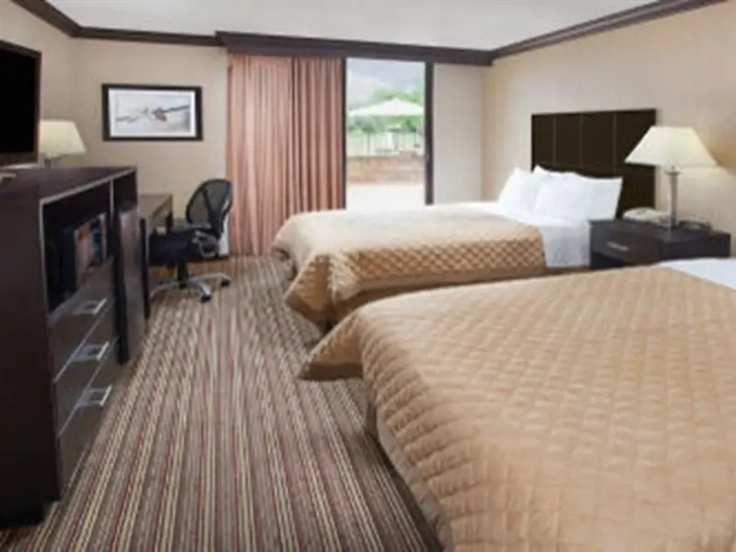 Radisson Hotel Schaumburg