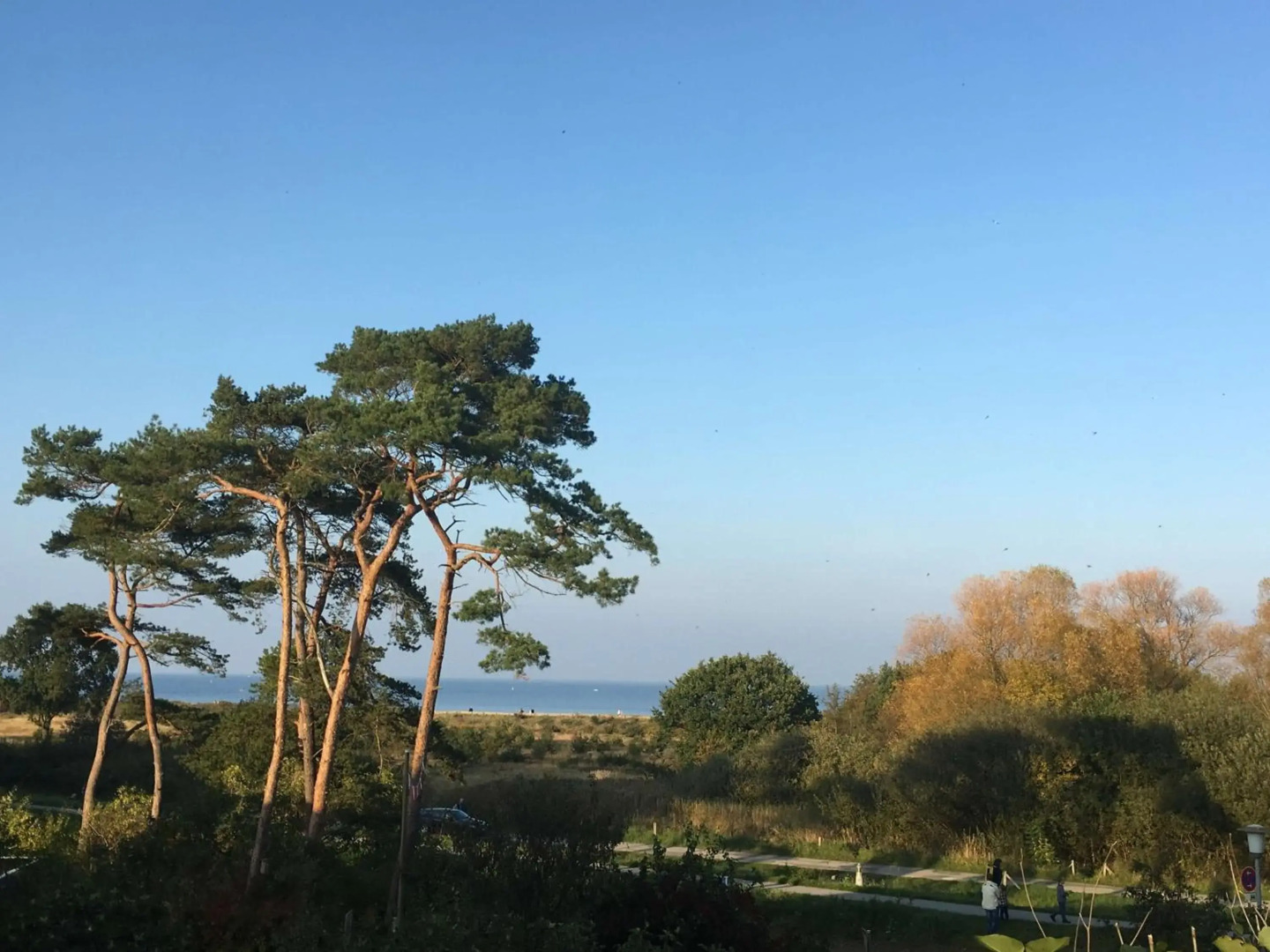 Fewo Seesucht-Hohwacht