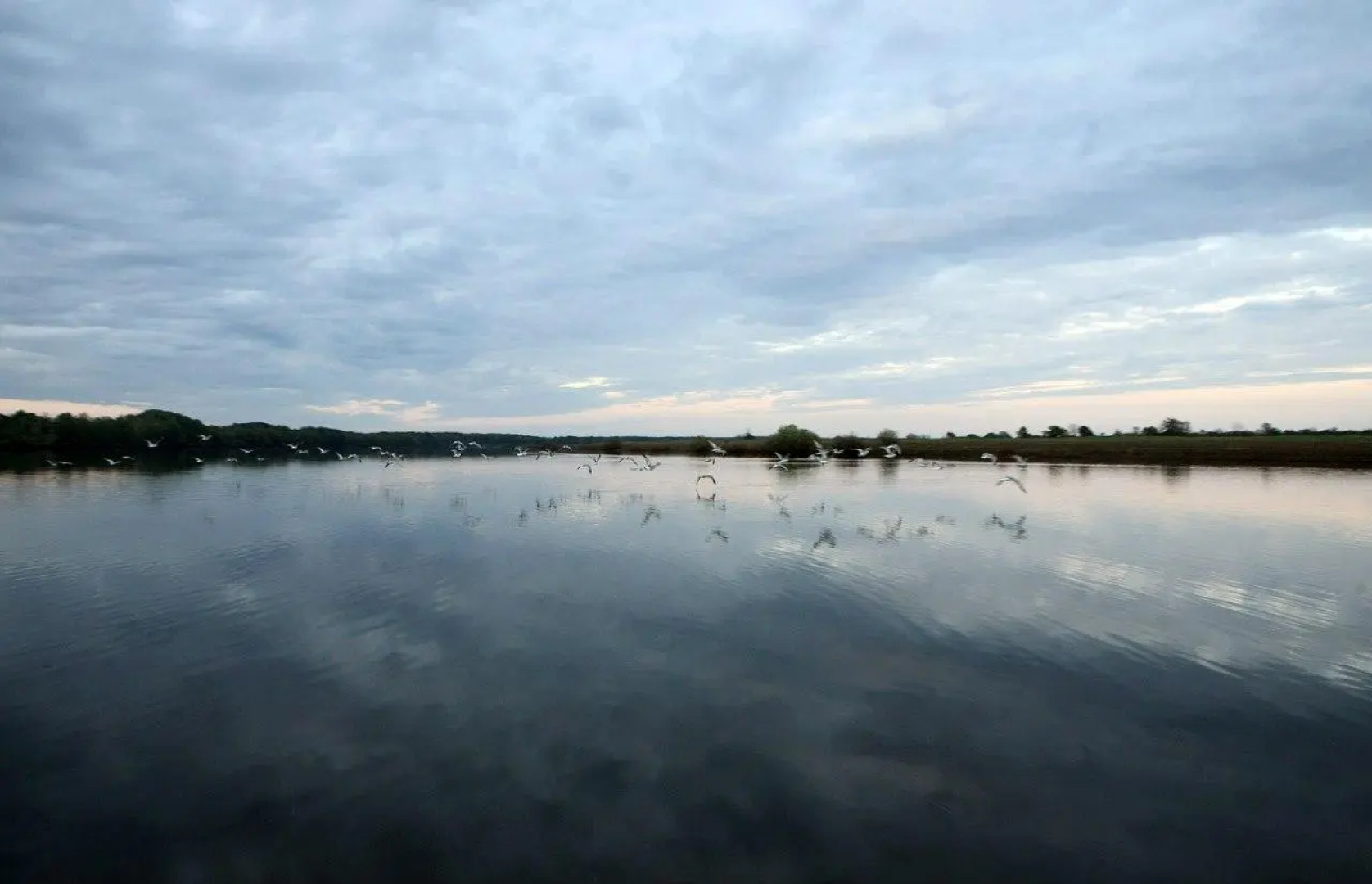 В гостях у сказки (бывш. Дубки)
