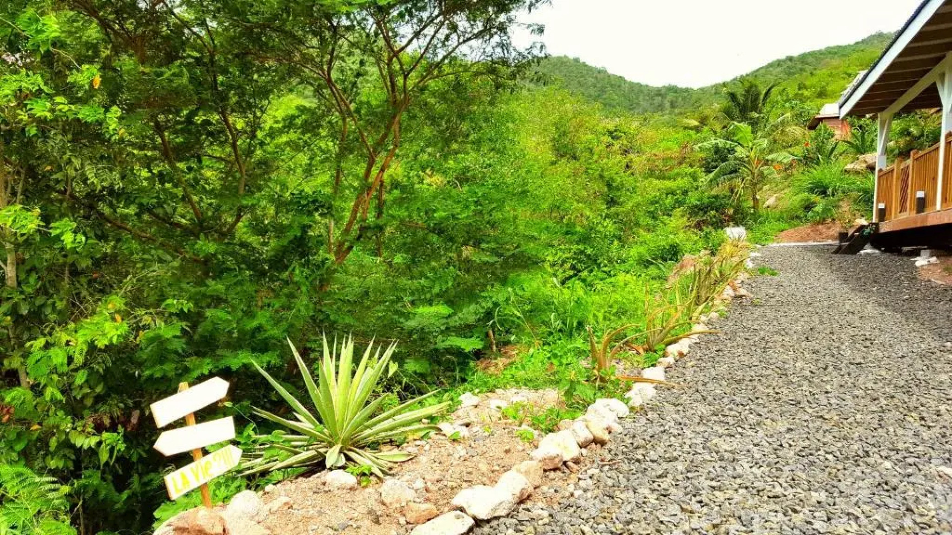 L´Odyssée Des Anses